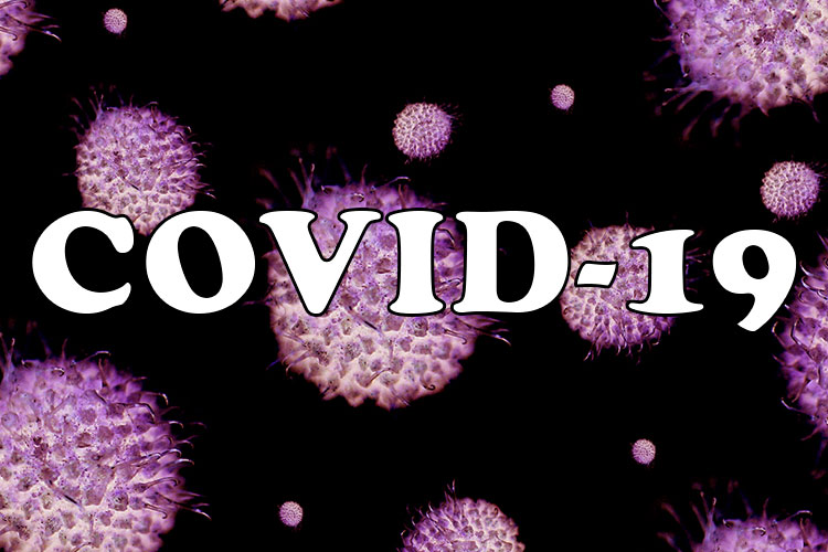 Black banner with purple virus illustrations. COVID-19 in white across the front.